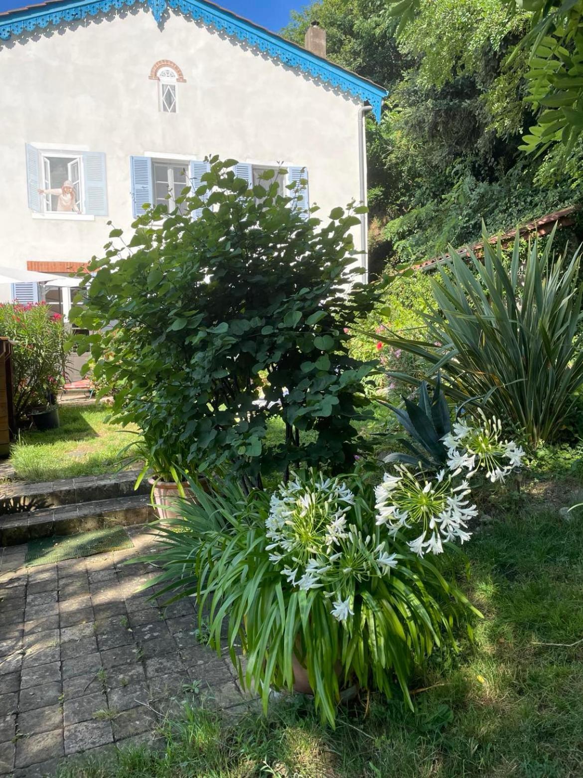 Les Agapanthes Bed & Breakfast Vaux-en-Beaujolais Eksteriør bilde